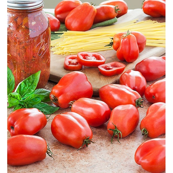 Pomodori San Marzano - al kg