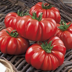 Pomodori Fiorentino - 0.5kg