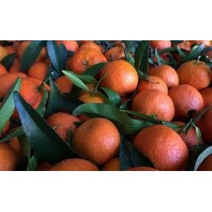 Clementine cal 4 kg1