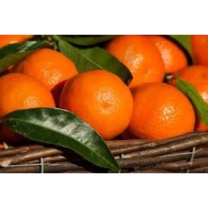 Clementine cal 3 kg 1 varietà Nadarcot