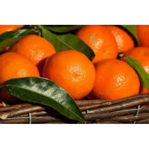 Clementine cal 3 kg 1 varietà Nadarcot