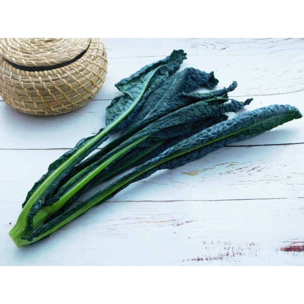 Cavolo Nero kg 1