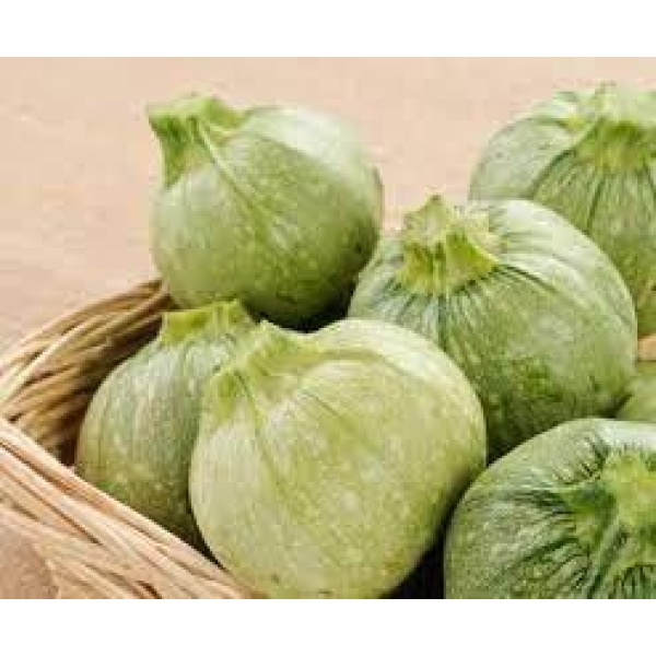 Zucchine tonde 500 gr Nostrali