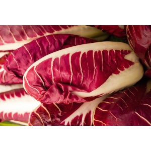 Radicchio treviso precoce gr 500