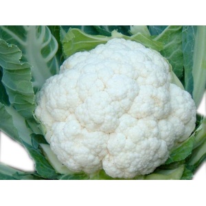 Cavolfiore bianco al pezzo da kg 1