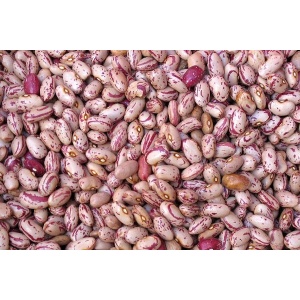 Borlotti 500gr italiani