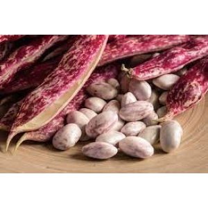 Fagioli Borlotti da sgranare