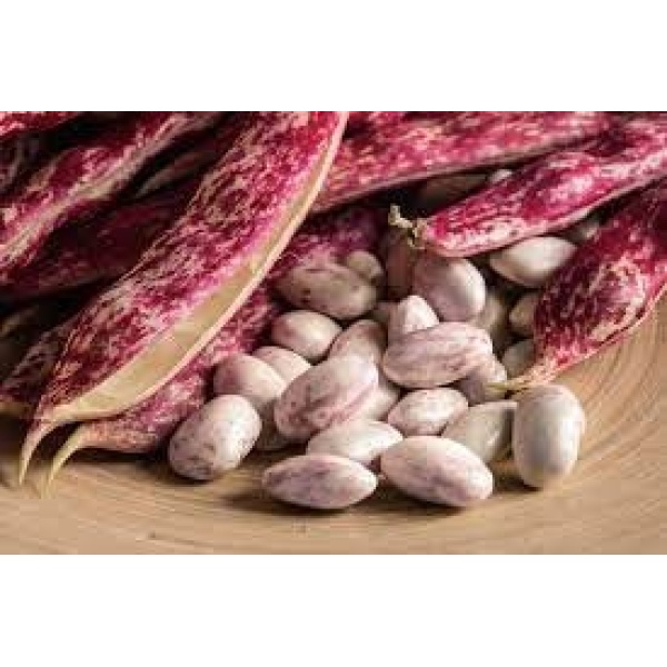 Fagioli Borlotti da sgranare